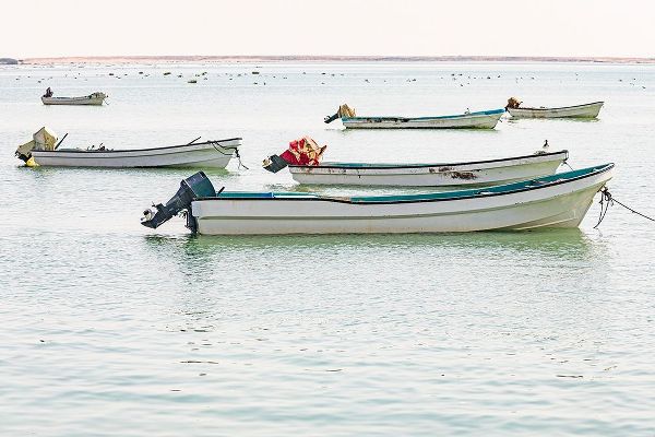 Wilson, Emily M. 아티스트의 Middle East-Arabian Peninsula-Al Wusta-Mahout-Fishing boats on the Arabian Sea in Oman작품입니다.